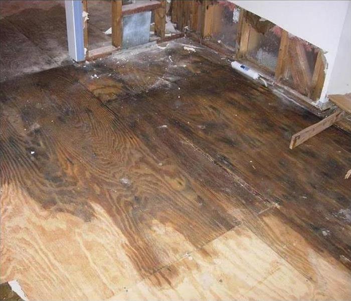 Wooden floor wet